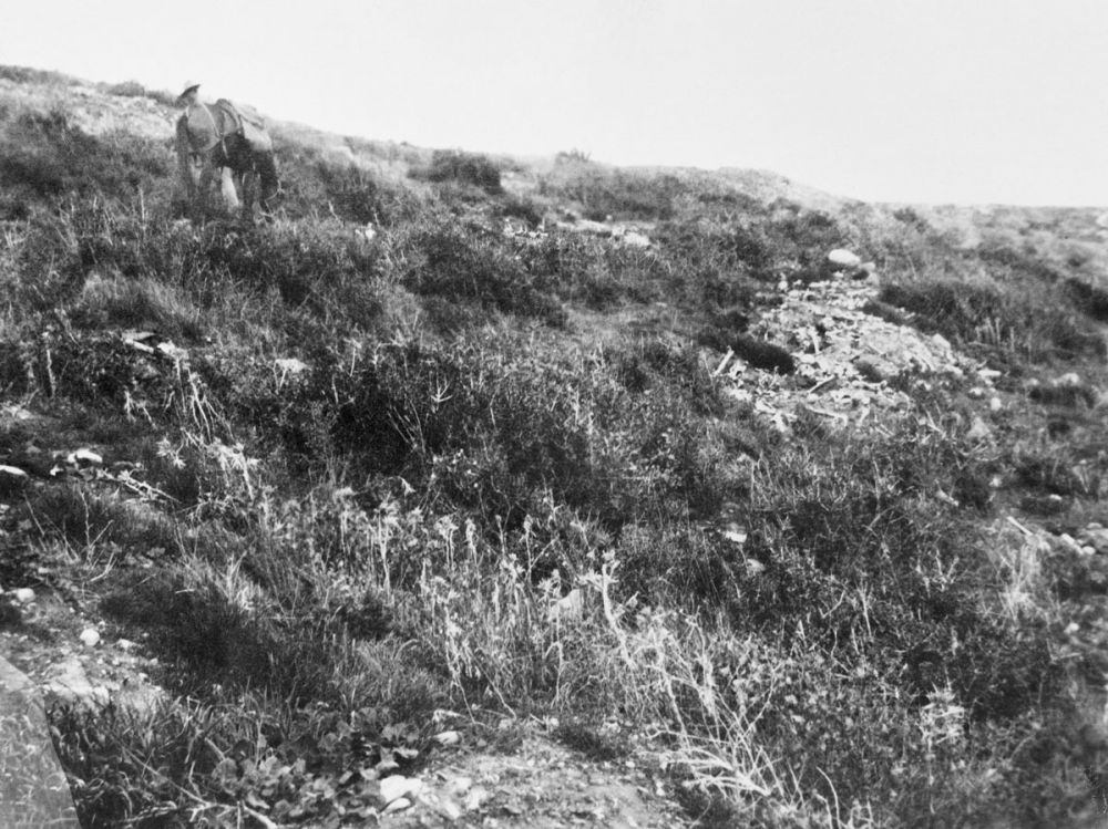 Piles of human bones on top of Chunuk Bair. One of a series of photographs taken on Gallipoli by the Australian War Records Section, 1919. 